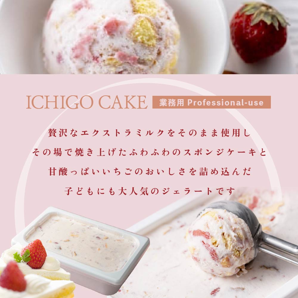 【毎月定期便】【THE ICE】業務用１リットル いちごケーキ ×3ヵ月定期便 【be003-1076-100-3】（いちご 苺 ギフト ふるさと納税 高評価 アイス ICE 生乳 別海町産 北海道 アイスクリーム べつかい エクストラミルク 生クリーム スイーツ 大人気 ケーキ）