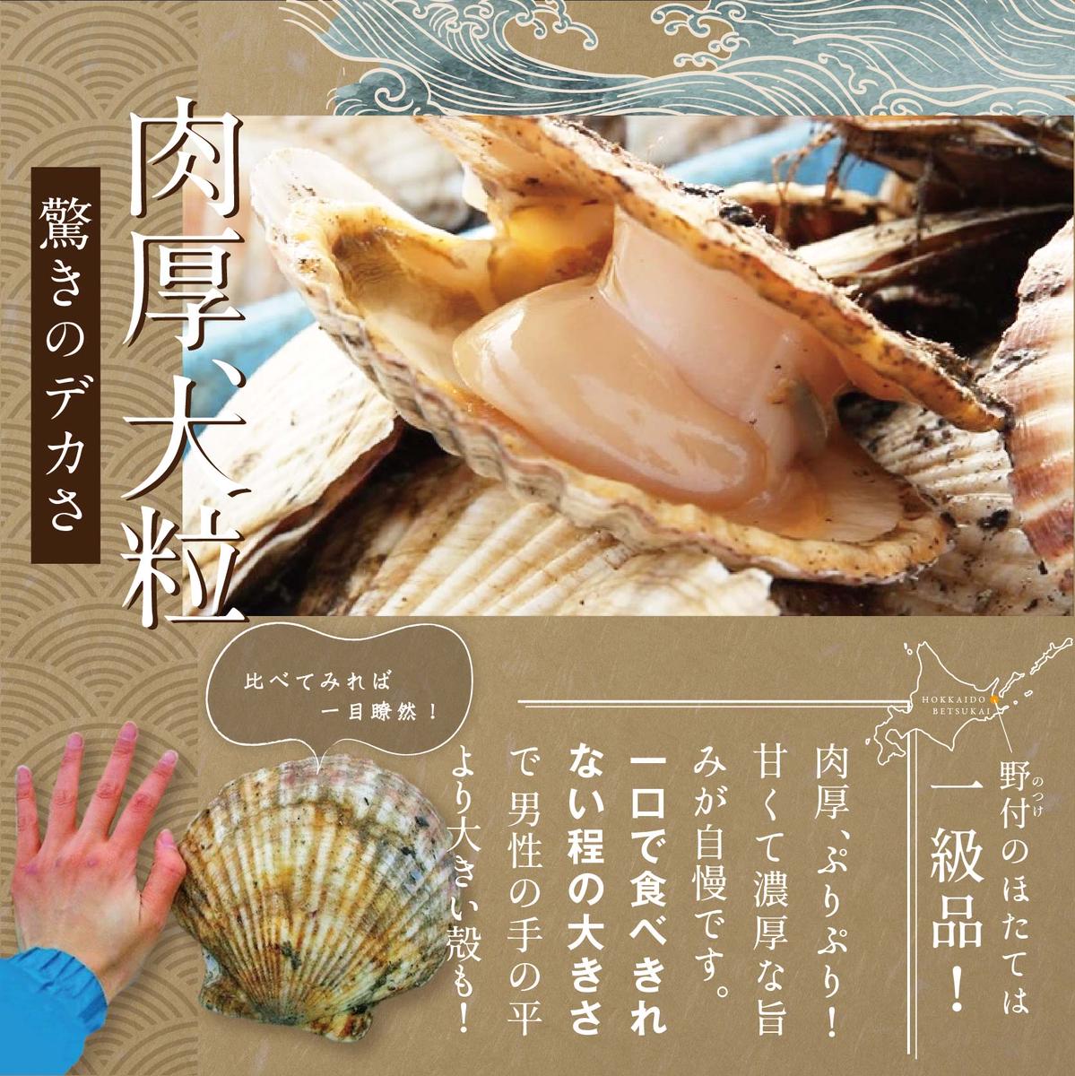 北海道 野付産 冷凍ホタテ 貝柱 大玉（Sサイズ）ホタテ500ｇ（ほたて ホタテ 帆立 ふるさと納税 お届け）