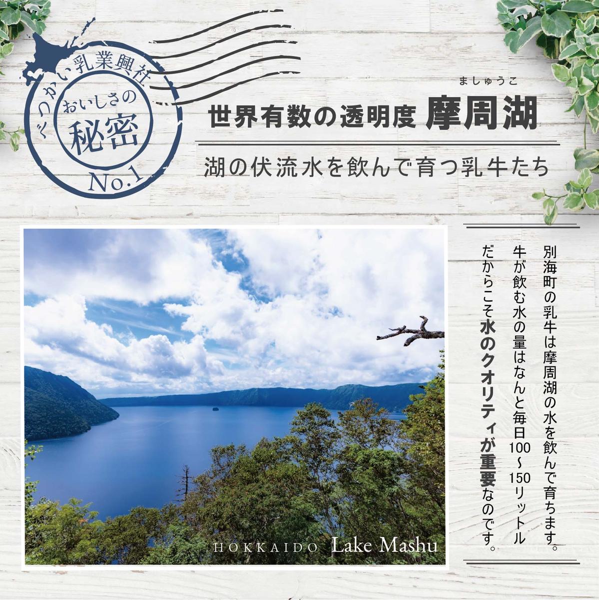 べつかいのアイスクリーム屋さんプレミアムミルクリッチ12個（ミルク/めろん各6個）(AP-02)（ 北海道アイス 北海道産アイス アイス アイススイーツ アイスクリーム 北海道産アイスクリーム 道産アイス 道産アイスクリーム ギフト 詰合せ 詰め合わせ ）