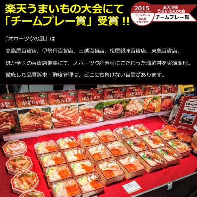北海道海鮮丼セット:2人前【be026-0771】