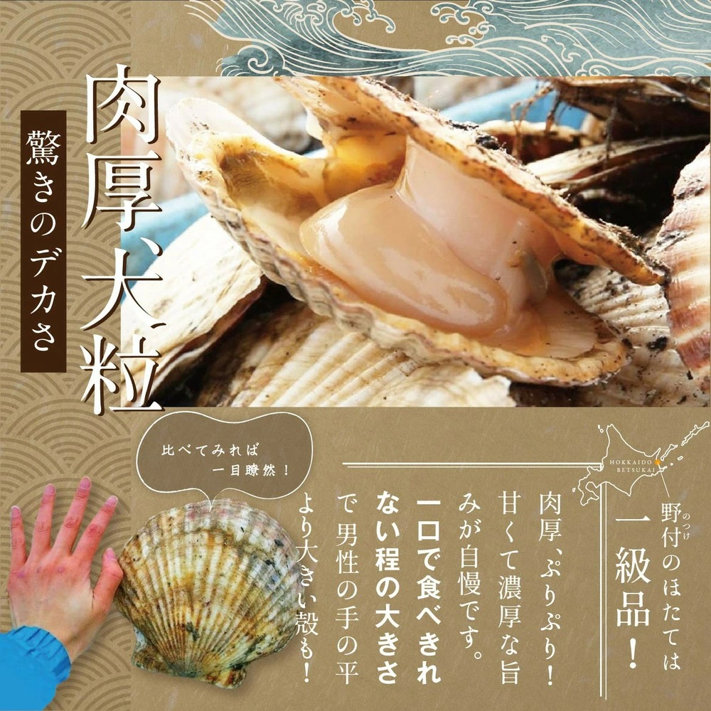 ★NC★【訳あり】 野付の大粒ホタテ！大粒 ほたて は別海町！【大粒ほたて】20粒前後 冷凍 ほたて貝柱