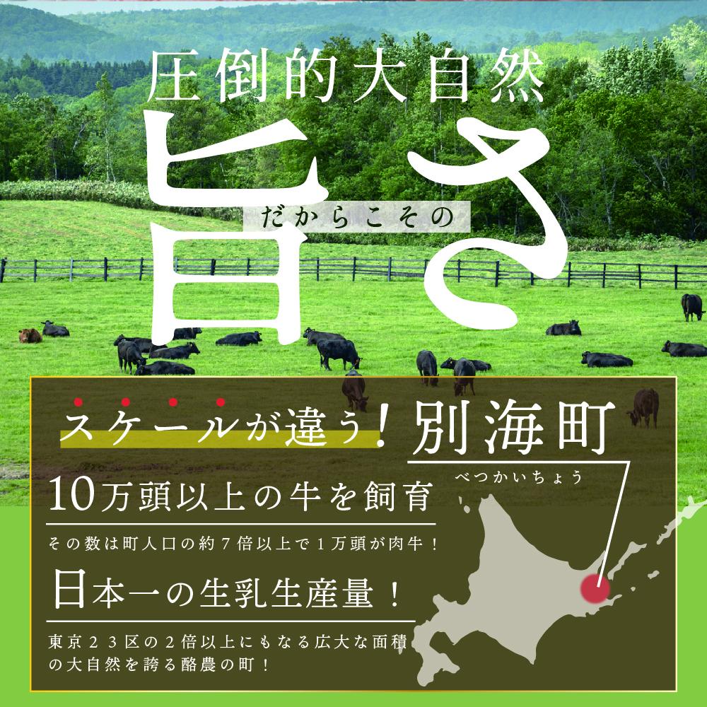 しゃぶしゃぶ 用（肩ロース）500g 北海道 別海町産 黒毛和牛「 名人和牛」 A5クラス ( 250g×2P )