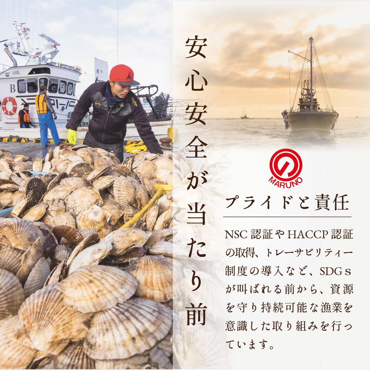 【隔月5回定期便】北海道 野付産 漁協直送 冷凍ホタテ 貝柱大粒ホタテ500ｇ【be018-0055-200-5】