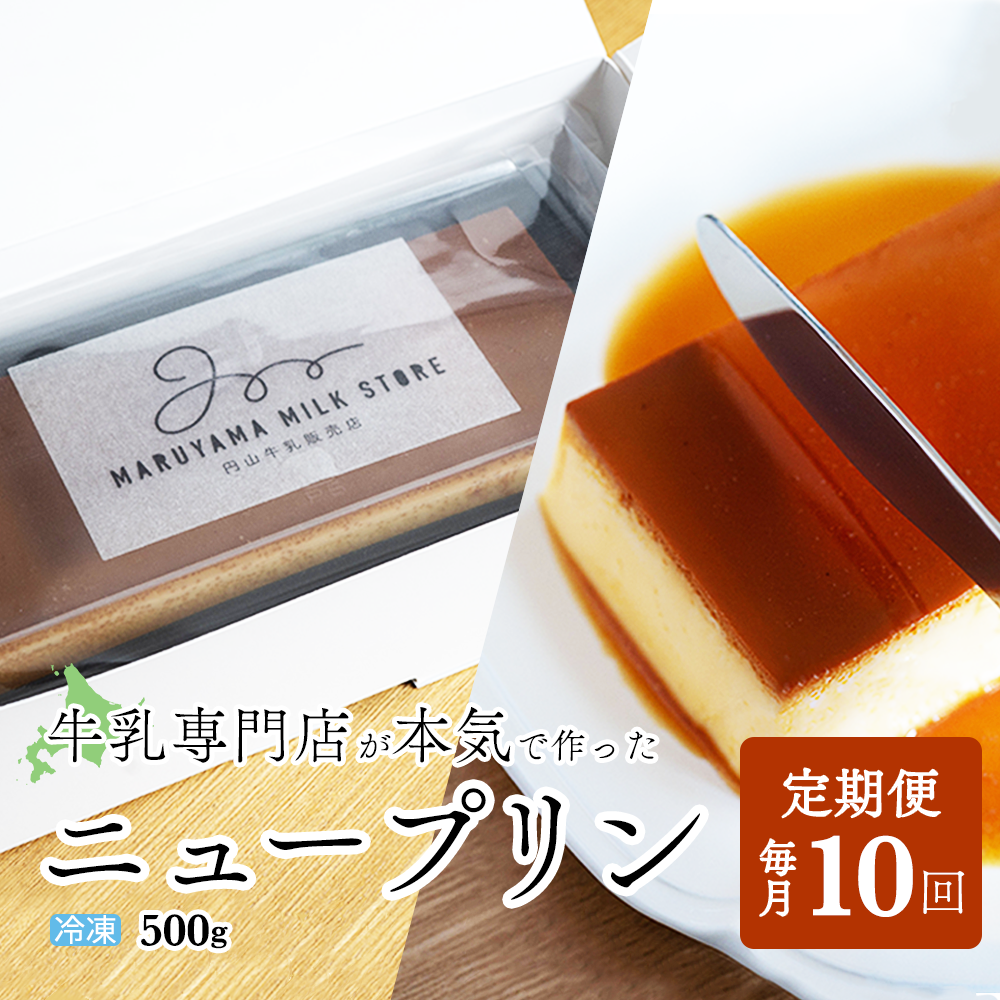 【定期便】濃厚プリン　New Pudding（ニュープディング）（500g×1本）×10ヶ月【be152-0931-100-10】