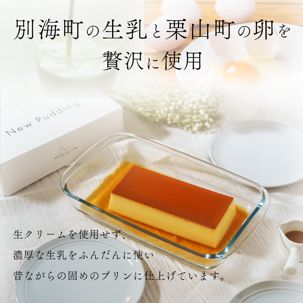 【定期便】濃厚プリン　New Pudding（ニュープディング）（500g×1本）×3ヶ月【be152-0931-100-3】