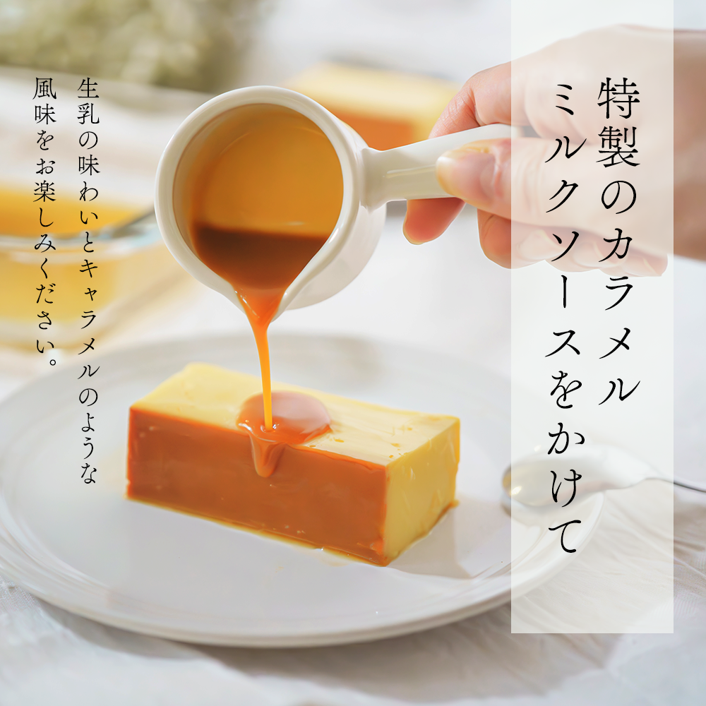 【定期便】濃厚プリン　New Pudding（ニュープディング）（500g×1本）×4ヶ月【be152-0931-100-4】