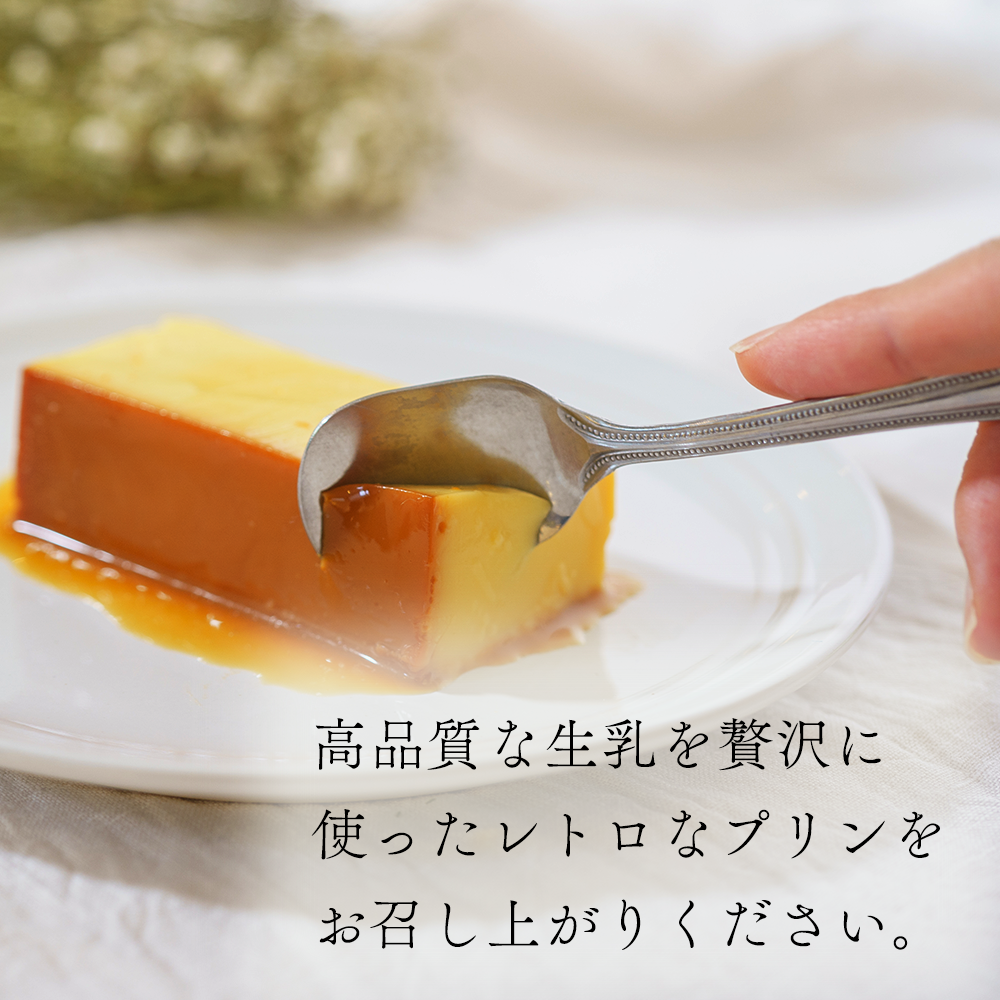 【定期便】濃厚プリン　New Pudding（ニュープディング）（500g×1本）×9ヶ月【be152-0931-100-9】