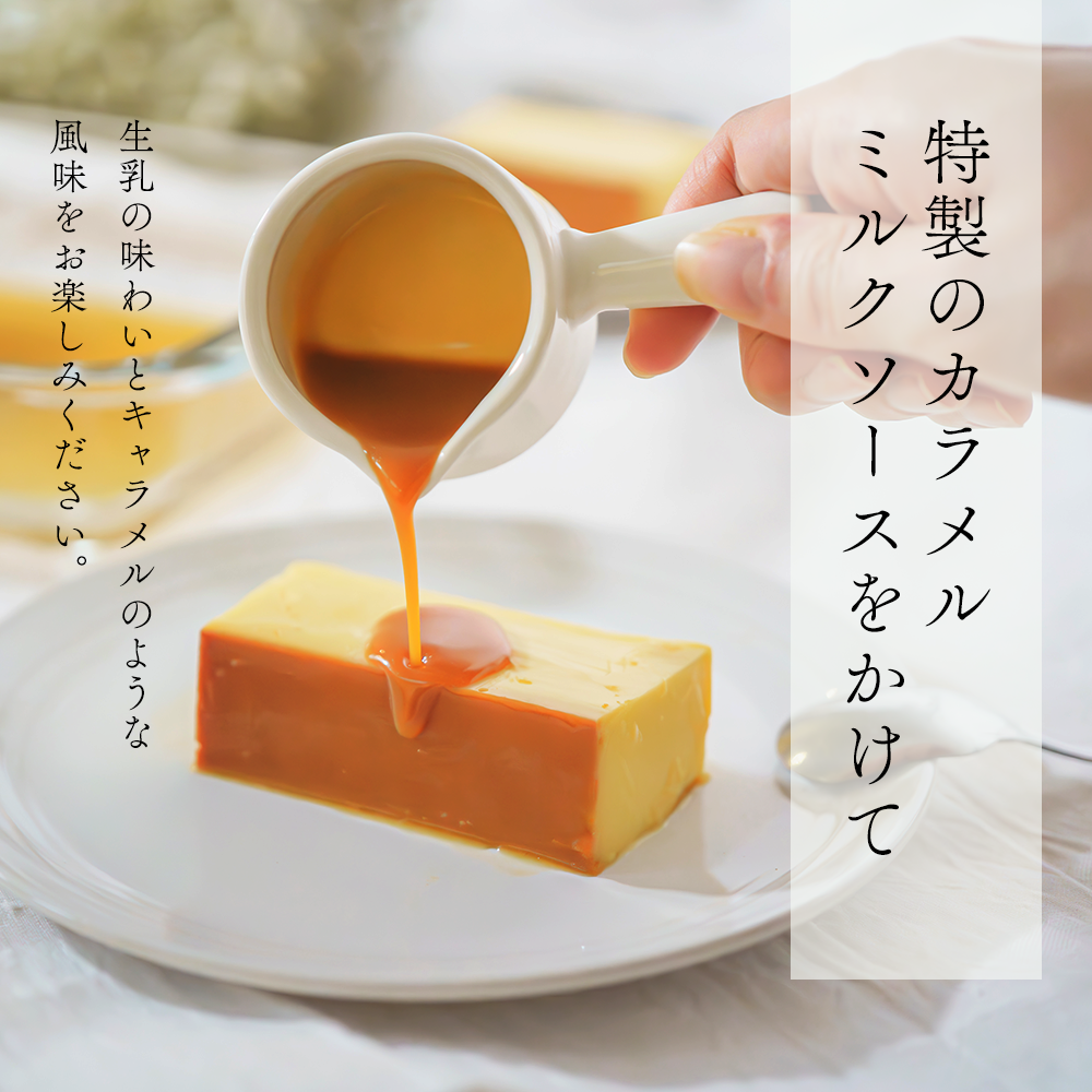 【定期便】濃厚プリン　New Pudding（ニュープディング）（500g×1本）×10ヶ月【be152-0931-100-10】