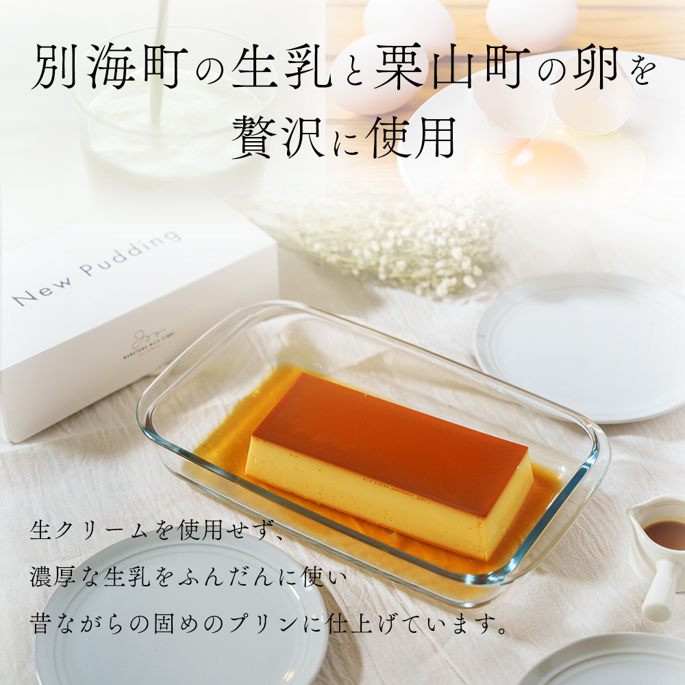 【定期便】濃厚プリン　New Pudding（ニュープディング）（500g×1本）×11ヶ月【be152-0931-100-11】