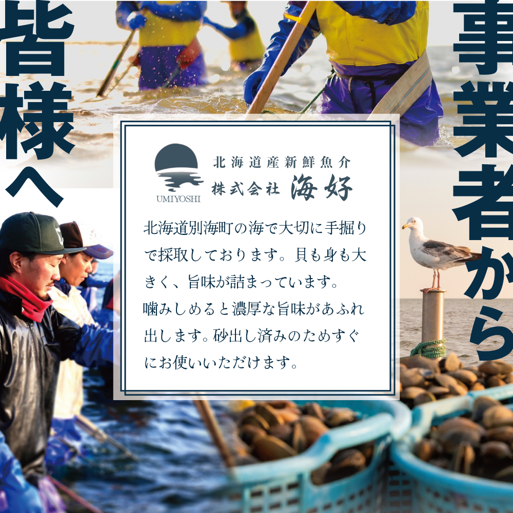 北海道 野付産 大粒 天然 活あさり 2kg前後【UY0000003】(株式会社海好)