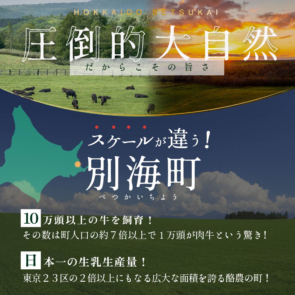 別海牛 使用 ファーストクラス ミニ ハンバーグ 50g×20個【be127-1119】