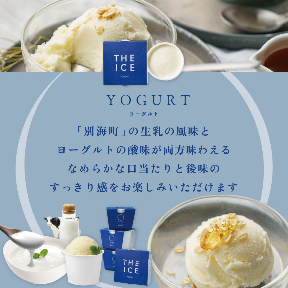 【THE ICE】5種食べ比べ 5個セット CJ0000206