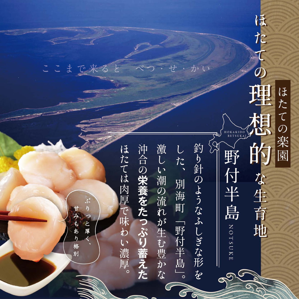 北海道 別海町 野付産 冷凍 ほたて 貝柱 500g（10～13玉前後）Lサイズ【KO0000003】