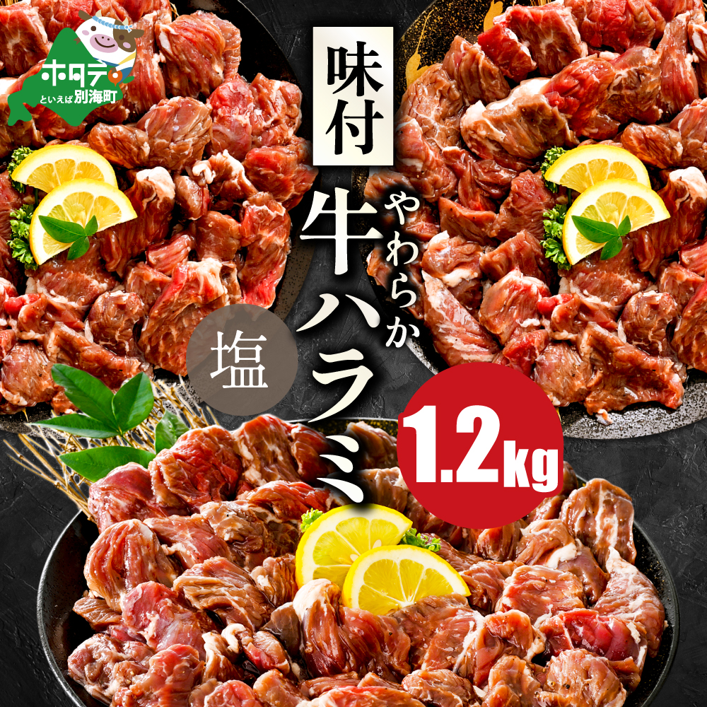  味付け ハラミ やみつき 塩ダレ 1.2kg（400g×3パック）【NS0000043】