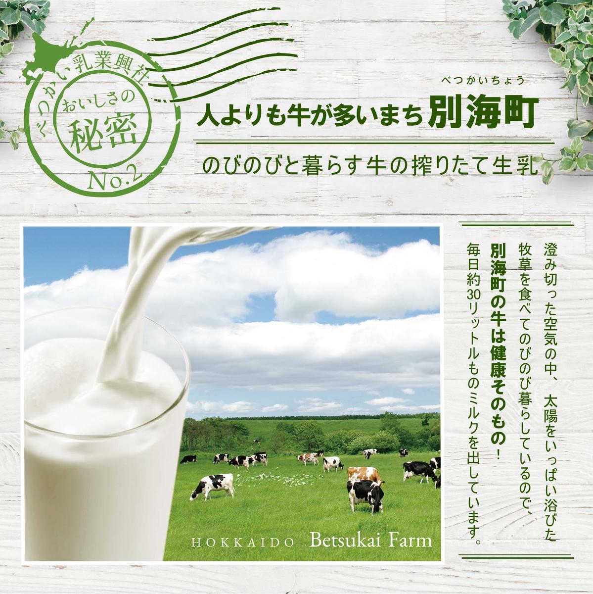 北海道 別海町産 べつかいの 牛乳屋さん  牛乳 ♪ たっぷり 12 リットル【be012-0685】