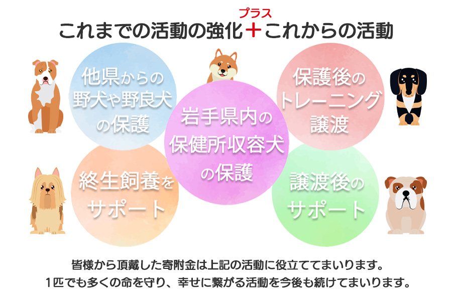 【お礼品なし】殺処分ゼロとその先を目指して！　動物保護シェルターへの応援寄附　5,000円