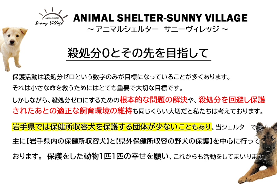 【お礼品なし】殺処分ゼロとその先を目指して！　動物保護シェルターへの応援寄附　1,000,000円