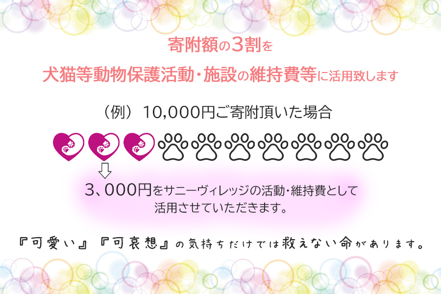 【お礼品なし】殺処分ゼロとその先を目指して！　動物保護シェルターへの応援寄附　3,000円