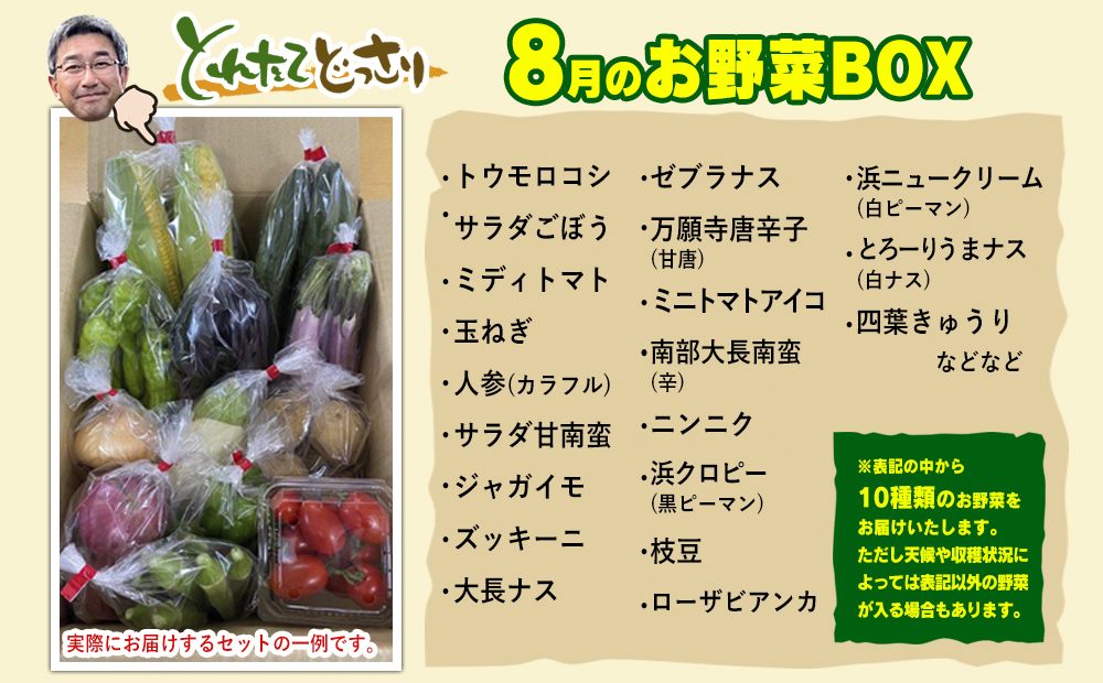 数量限定　矢巾町産　夏野菜セット【10種】8月発送