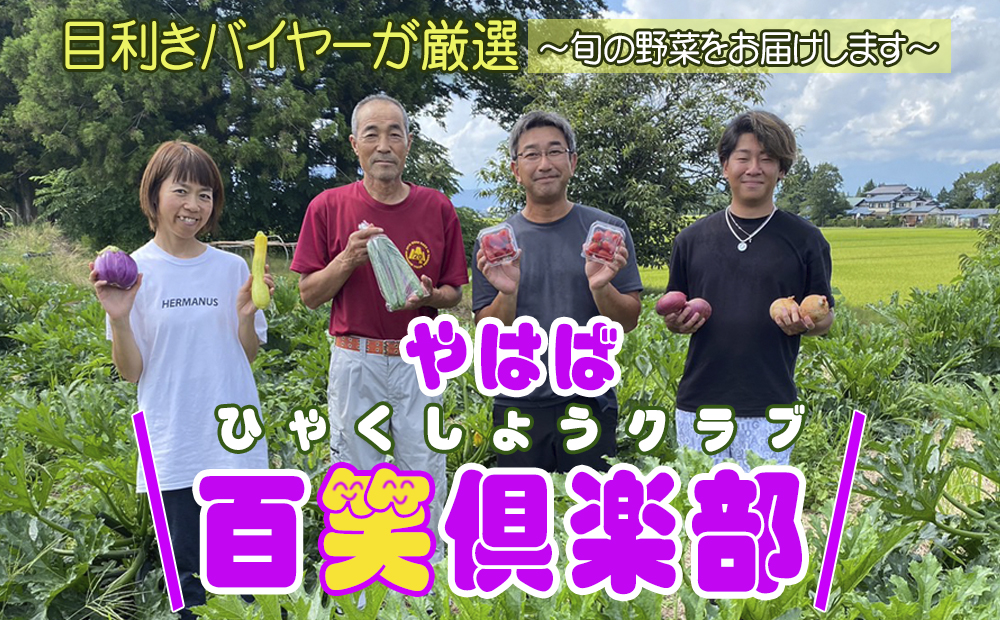 数量限定　矢巾町産　夏野菜セット【10種】7月発送