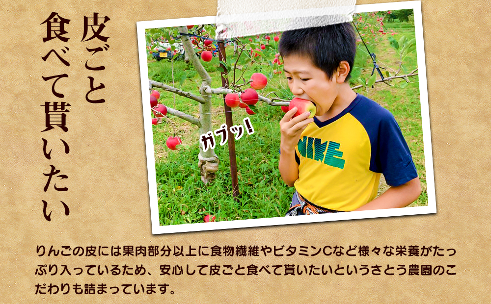 佐藤農園の葉とらずリンゴ　（サンふじ）　5kg