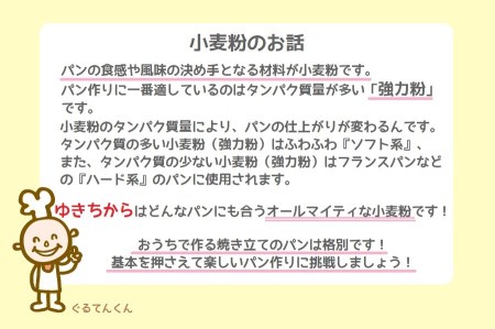 パン作りにオススメ！ゆきちから25kg　岩手県産ゆきちから100％の自慢の国産強力粉