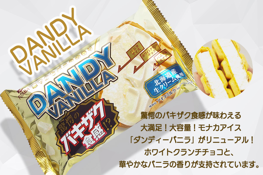 フタバ食品　アイス20個　ダンディーチョコレート＆バニラセット　2種類各10個