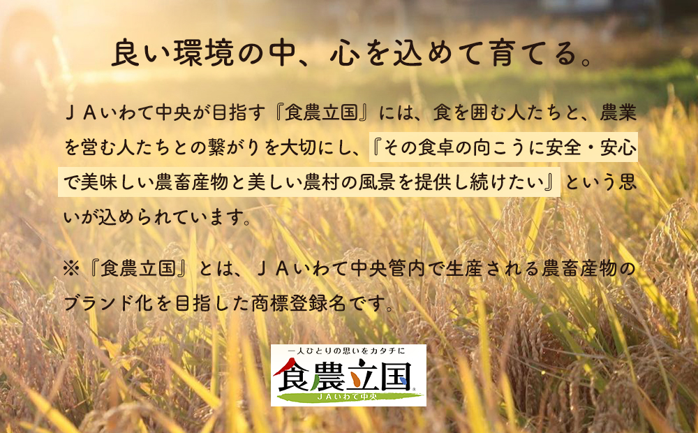 JAいわて中央の美味しい西洋梨　ゼネラル・レクラーク5kg(13玉〜20玉)　11月中旬から発送予定