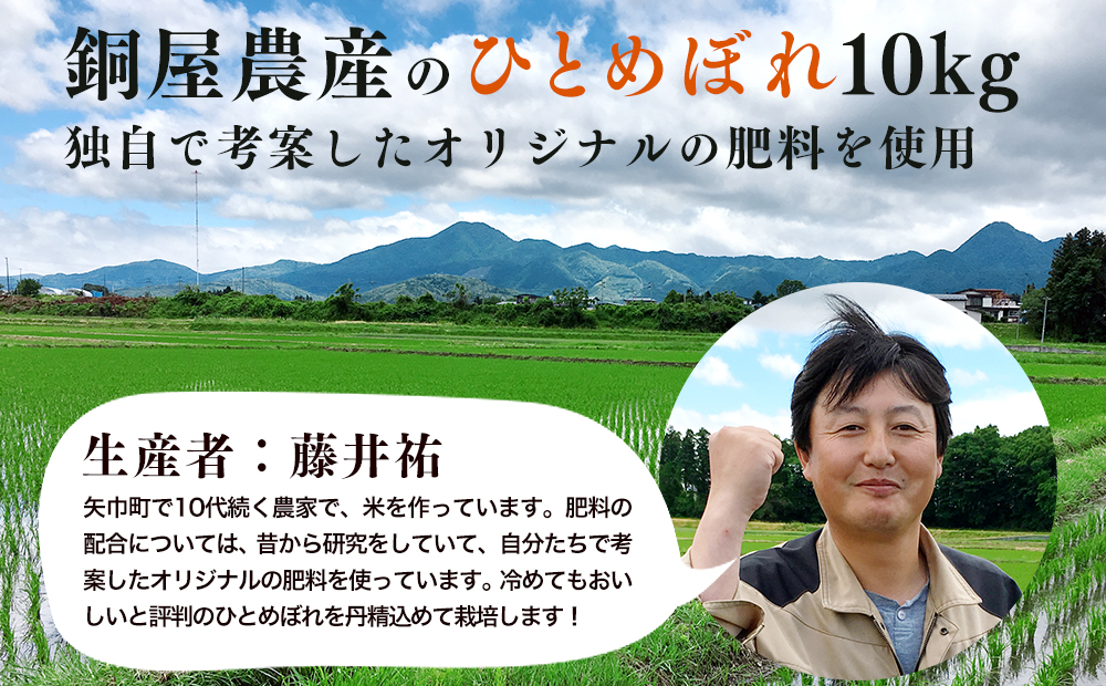 【定期便】粘り・つや・うま味・香りのバランスが良い令和6年産ひとめぼれ【10kg×5ヵ月】銅屋農産