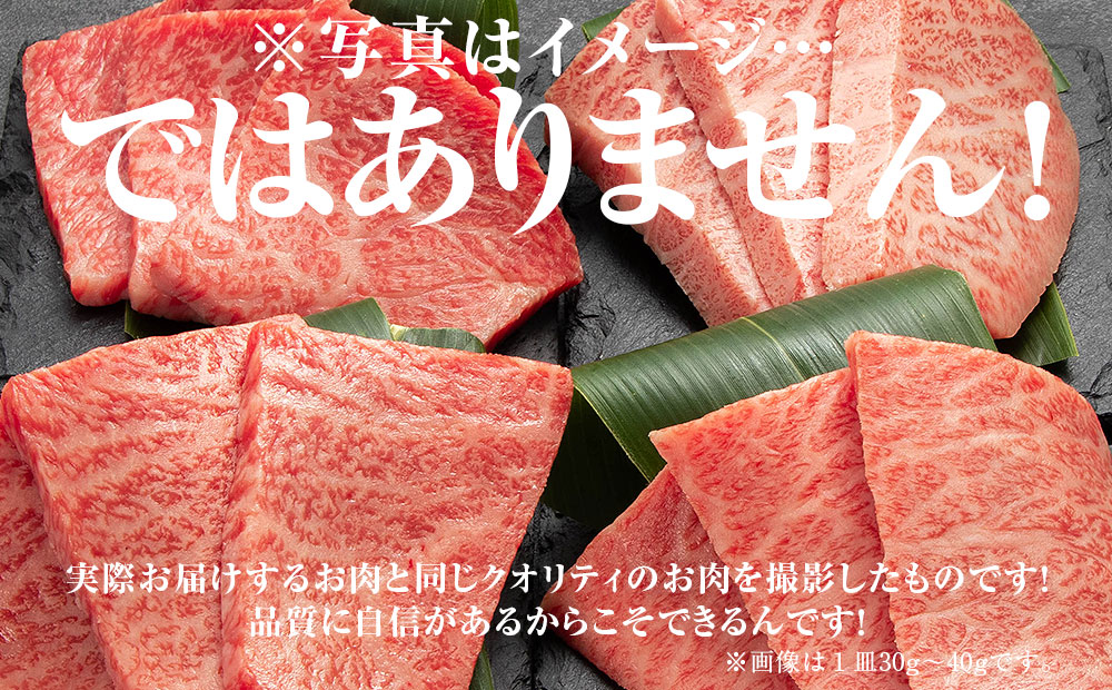 小形牧場牛 希少部位 焼肉用4部位食べ比べセット 個包装で便利 ふるさとパレット 東急グループのふるさと納税