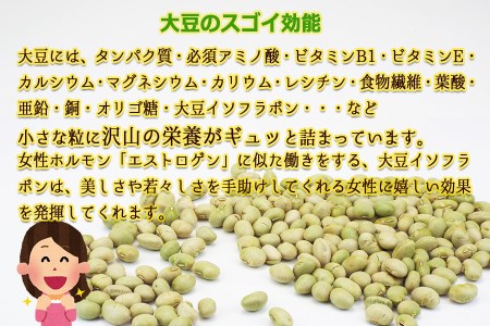 『日本中のマダムが見直した大豆の力』　秘伝豆（煎り豆菓子）　100ｇ×6袋