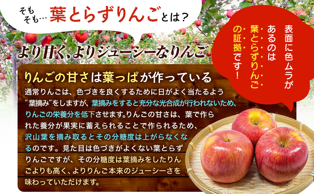 佐藤農園の葉とらずリンゴ　ミックス（王林/サンふじ）