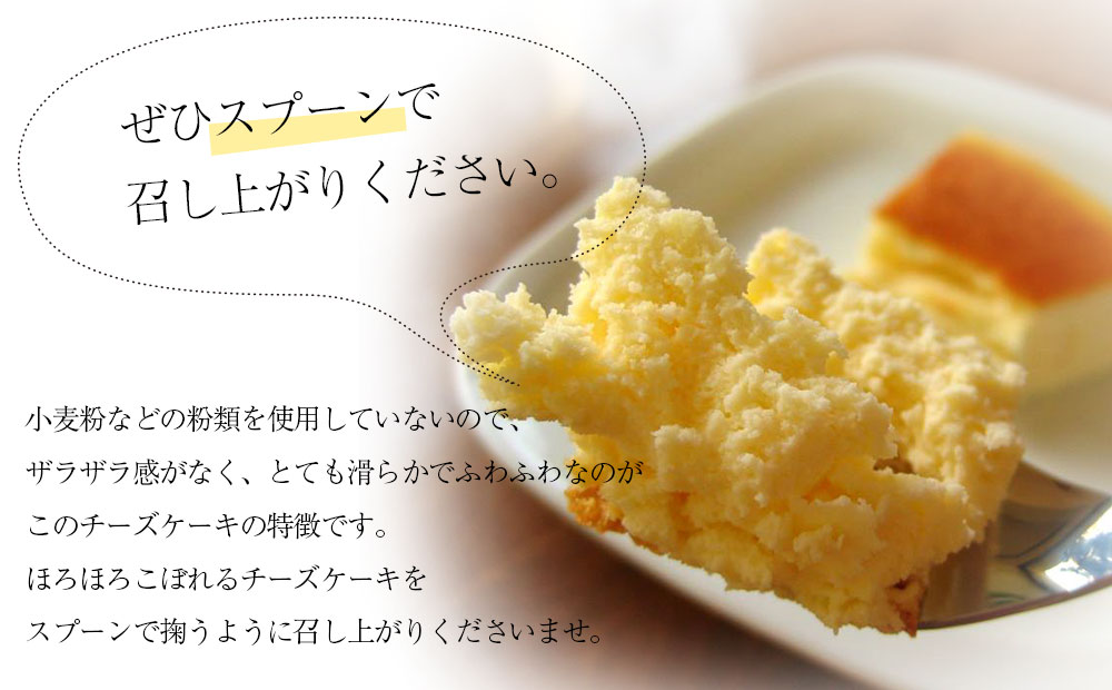 【チーズケーキ食べ比べセット】プレーン５号＆レア５号