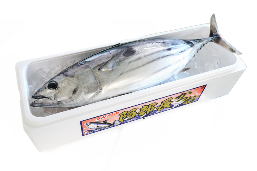 【期間限定発送】戻り鰹 1尾 約3～4kg [阿部長商店 宮城県 気仙沼市 20564741] 生鮮 かつお カツオ 戻りカツオ 魚 さかな サカナ 鮮魚 季節限定