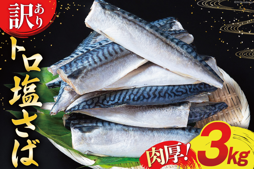 訳あり 塩サバ フィレ 3kg [足利本店 宮城県 気仙沼市 20564146] 魚介類 魚 サバ サバフィレ さば 鯖 サバフィーレ 鯖フィレ 切り身 冷凍 訳アリ 訳ありサバ 大容量 わけあり トロ