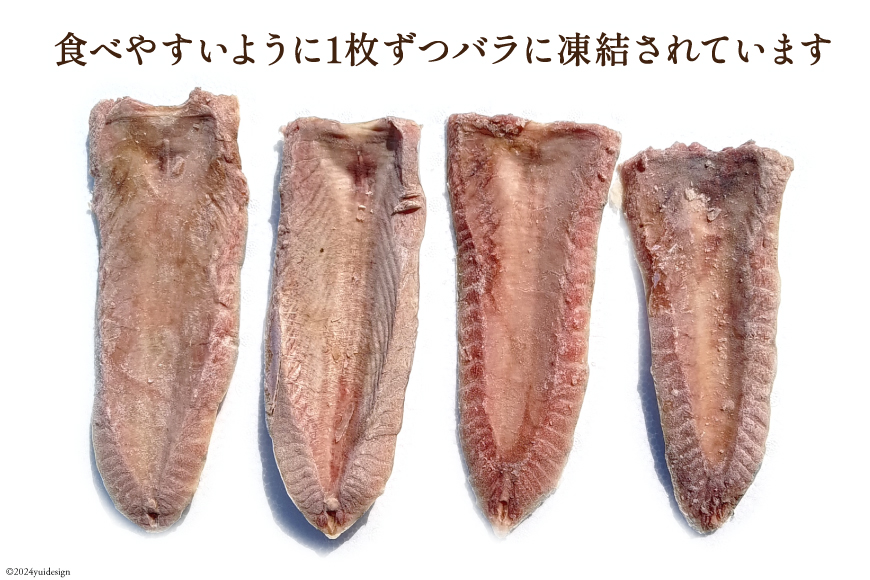 訳あり かつお ハラス フィーレ 1.2kg [足利本店 宮城県 気仙沼市 20564314] カツオ 鰹 魚 魚介類 さかな サカナ はらす はらみ ハラモ はらも おつまみ 惣菜 おかず