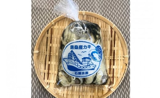 【期間限定発送】生食可 牡蠣 むき身 500g 約20粒 [FishMarket38 宮城県 気仙沼市 20564194] 海鮮 かき カキ オイスター 生牡蠣 むきみ 剥き身 産地直送 季節限定 冷蔵