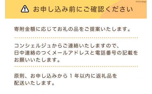 【あなただけの返礼品が届く】 コンシェルジュ サービス 寄附金額 30万円 オーダーメイド プラン [宮城県 気仙沼市 20561411]