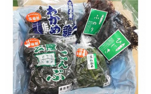 三陸産 海藻 5種セット ( わかめ 茎わかめ ひじき ふのり 昆布 ) [さんりくみらい 宮城県 気仙沼市 20564805] 三陸 海産 海産物 詰め合わせ 三陸産わかめ ワカメ 若芽