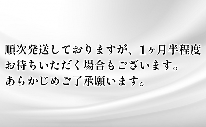 ペーパータオル スコッティ キレイの仕上げ ハンドタオル 1ケース（ 5箱 × 12パック入り ）