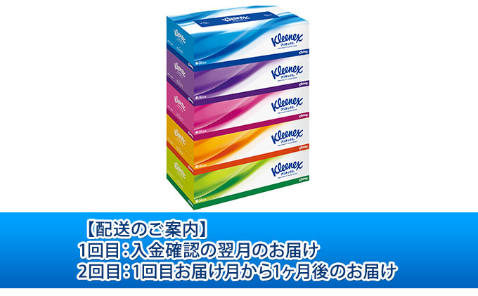 【2ヶ月連続定期便】ティッシュペーパー クリネックスティシュー 60箱 360枚（180組）5箱×12パック入り