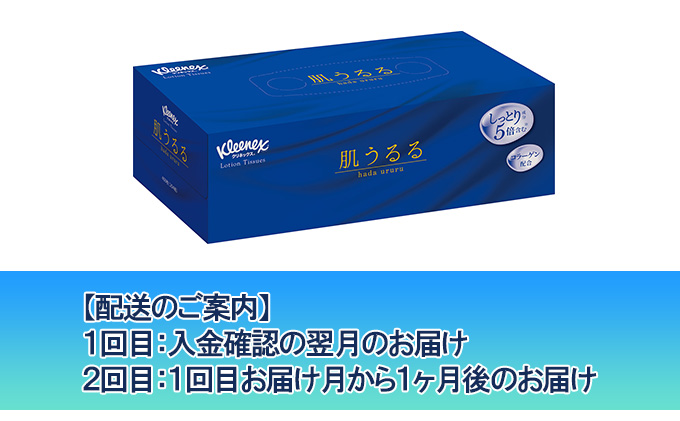 【2ヶ月連続定期便】クリネックスローションティシュー肌うるる 1ケース（10箱入り）