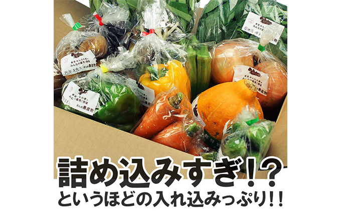 【定期便全6回】連続6ヶ月お届け！岩沼みんなの家の「みんなの直売！野菜」セット詰め合わせ