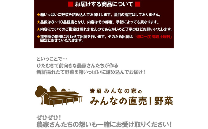 【定期便全6回】連続6ヶ月お届け！岩沼みんなの家の「みんなの直売！野菜」セット詰め合わせ