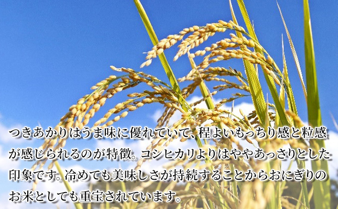 【令和6年産新米】宮城県産つきあかり 精米 白米 5kg