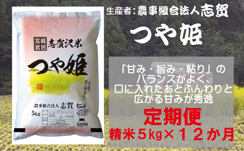 【12ヶ月定期便】宮城県岩沼市産 志賀沢米 つや姫 精米5kg