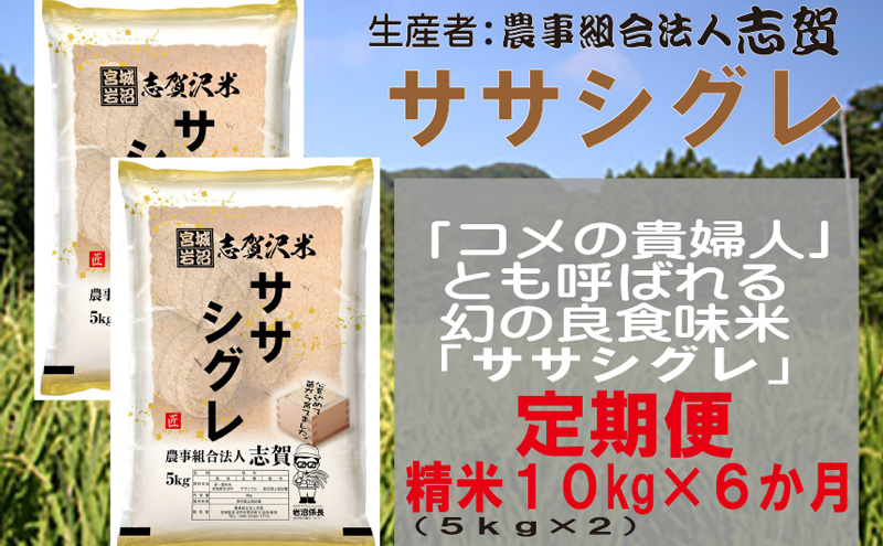 【6ヶ月定期便】宮城県岩沼市産 志賀沢米 ササシグレ 精米10kg(5kg×2）