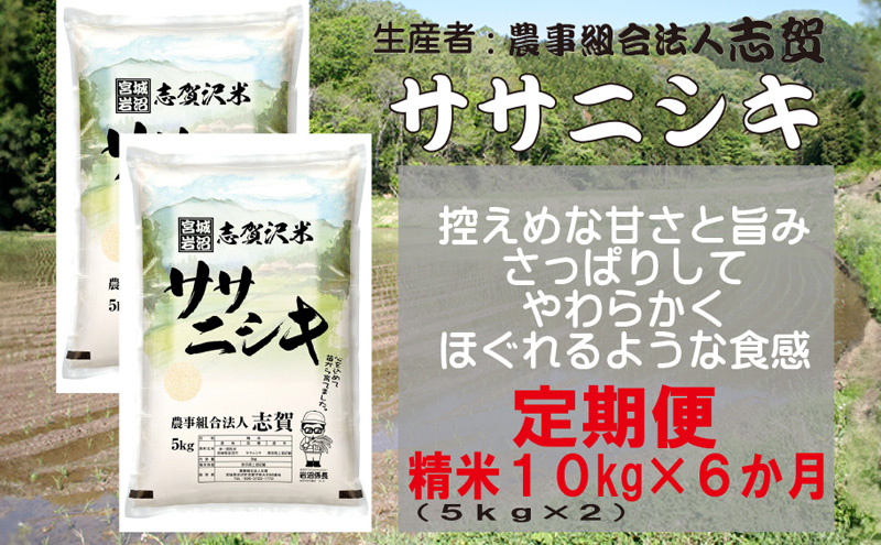 【6ヶ月定期便】宮城県岩沼市産 志賀沢米 ササニシキ 精米10kg(5kg×2）