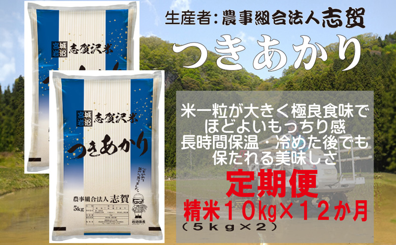 【12ヶ月定期便】宮城県岩沼市産 志賀沢米 つきあかり 精米10kg(5kg×2）