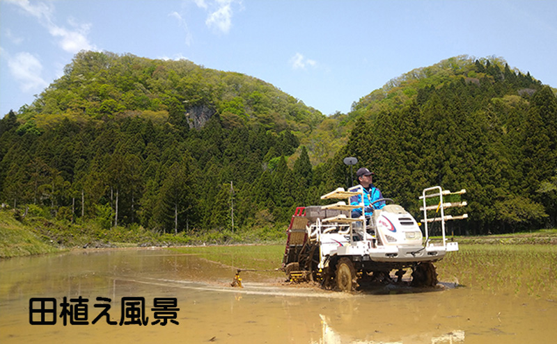 宮城県岩沼市産 志賀沢米 金のいぶき　玄米10kg（5kg×2）